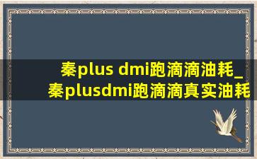 秦plus dmi跑滴滴油耗_秦plusdmi跑滴滴真实油耗